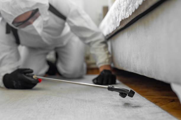 Professional Termite Control technician working in Greenup, KY
