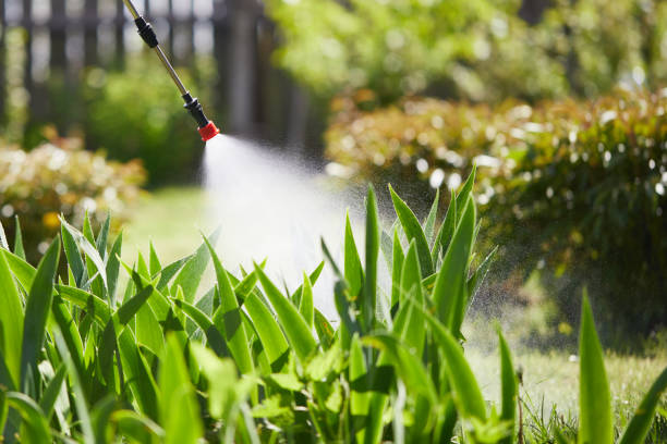 24/7 Emergency Termite Control experts in Greenup, KY